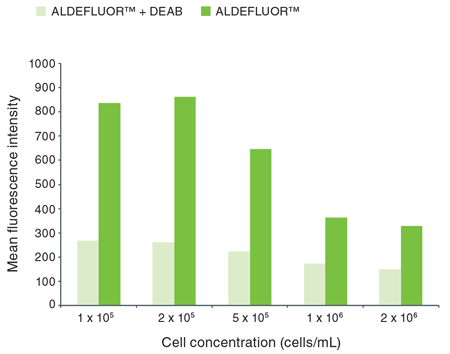 Effect of cell concentration on the detection of ALDEFLUOR&trade; activity in SKBR3 cells.