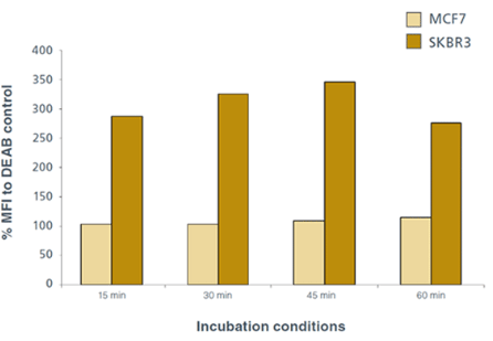 Effect of different incubation conditions with ALDEFLUOR&reg; on mean fluorescence intensity as determined by flow cytometry.