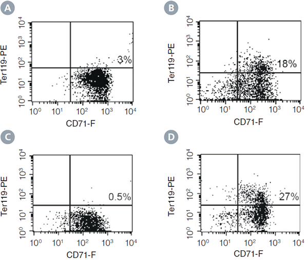 Expression of the erythroid differentiation antigens CD71 and TER-119 on cells from colonies harvested at different time points from cultures of mouse BM cells in MethoCult&reg; SF M3436 Medium.