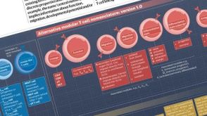 T Cell Nomenclature: From Subsets to Modules