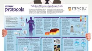 Production of Chimeric Antigen Receptor T&nbsp;Cells