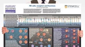 Natural Killer Cells