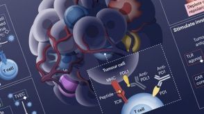 Rational Combination of Cancer Therapies with PD1 Axis Blockade