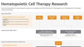 造血细胞治疗研究流程