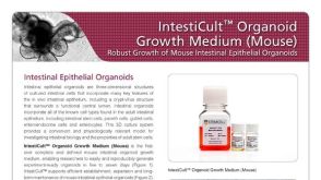 IntestiCult&trade; OGMM: Robust Growth of Mouse Intestinal Epithelial Organoids