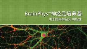 BrainPhys&trade; Neuronal Medium for Improved Neuronal Function