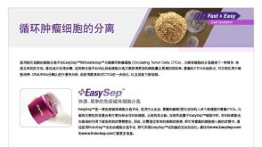 循环肿瘤细胞的分离