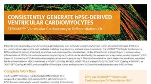 STEMdiff™心肌细胞分化试剂盒 由hPSC生成心肌细胞的标准化方案