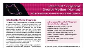 IntestiCult&trade; Organoid Growth Medium (Human)