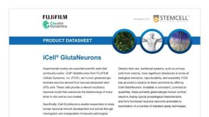 CDI iCell Gluta Neurons Data Sheet