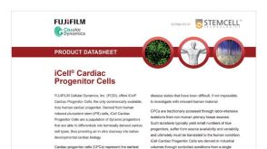CDI iCell Cardiac Progenitor Cells Data Sheet