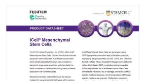 CDI iCell Mesenchymal Stem Cells Data Sheet