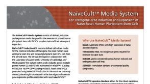 NaïveCult™ Media System