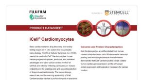 CDI iCell Cardiomyocytes Data Sheet