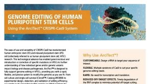 Genome Editing of Human Pluripotent Stem Cells