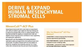 MesenCult™-ACF Plus