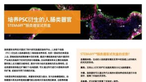 培养PSC衍生的人肠类器官