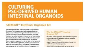 STEMdiff™ Intestinal Organoid Kit