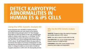 Detect Karyotypic Abnormalities in Human ES & iPS Cells