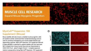 Culture and Expand Mouse Myogenic Progenitors