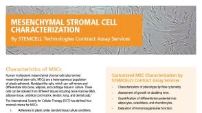 Mesenchymal Stromal Cell Characterization Services