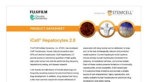 CDI iCell Hepatocytes