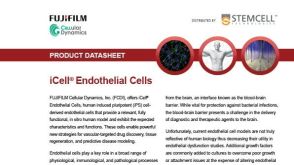 iCell® Endothelial Cells