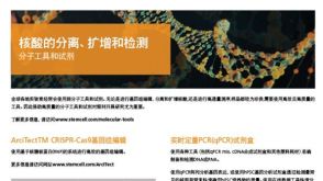 核酸的分离、扩增和检测