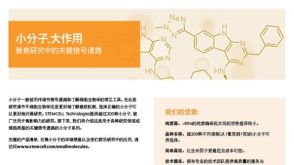 小分子,大作用