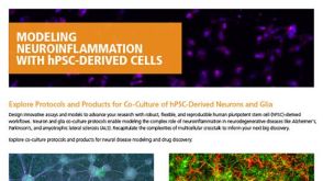 Modeling Neuroinflammation with hPSC-Derived Cells