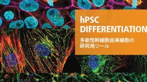 hPSC Differentiation: 多能性幹細胞由来細胞の研究用ツール