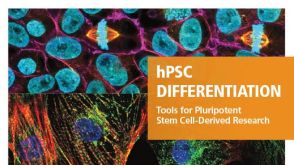 hPSC Differentiation: Tools for Pluripotent Stem Cell-Derived Research