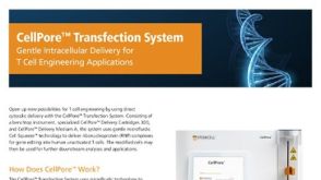 CellPore™转染系统   用于T细胞工程的温和胞内转染