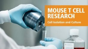 小鼠T细胞研究  - 细胞分选与培养