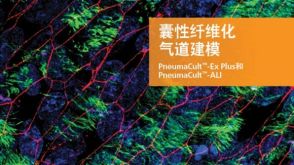 囊性纤维化气道建模