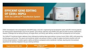 CellPore™ 细胞转染系统   对CD34+ HSPCs进行 高效基因编辑