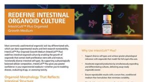Redefine Intestinal Organoid Culture: IntestiCult™ Plus Organoid Growth Medium