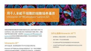 用于人多能干细胞的细胞培养基质 Vitronectin XFTM和CellAdhereTM Laminin-521
