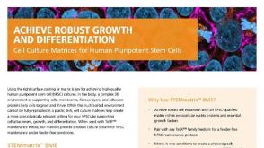 用于人多能干细胞的细胞培养基质 Vitronectin XFTM和CellAdhereTM Laminin-521