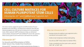 Cell Culture Matrices for Human Pluripotent Stem Cells