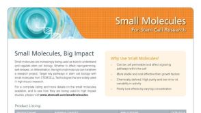 Small Molecules for Stem Cell Research