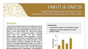 UM171 & UM729: Novel Small Molecules for the Ex Vivo Expansion of Human Hematopoietic Stem Cells