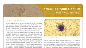 CFU-Hill Liquid Medium - Products for Angiogenic Cell Research