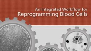An Integrated Workflow for Reprogramming Blood Cells