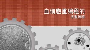 血细胞重编程的完整流程