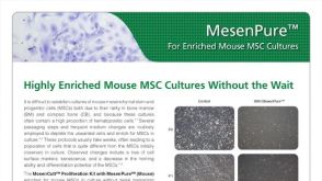 MesenPure&trade; for Enriched Mouse Mesenchymal Stem Cell (MSC) Cultures