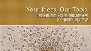 Your Ideas. Our Tools. Products for Every Step of Your Hematopoietic Stem and Progenitor Cell Research.