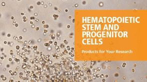 Hematopoietic Stem and Progenitor Cells - Products for Your Research
