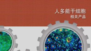 Products for Human Pluripotent Stem Cells