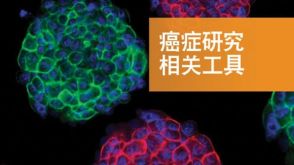 癌症研究相关工具